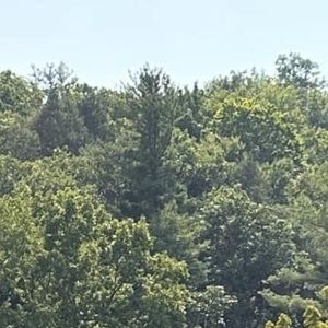 Meet your Posher, Ronald